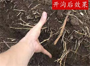 開溝機開溝效果